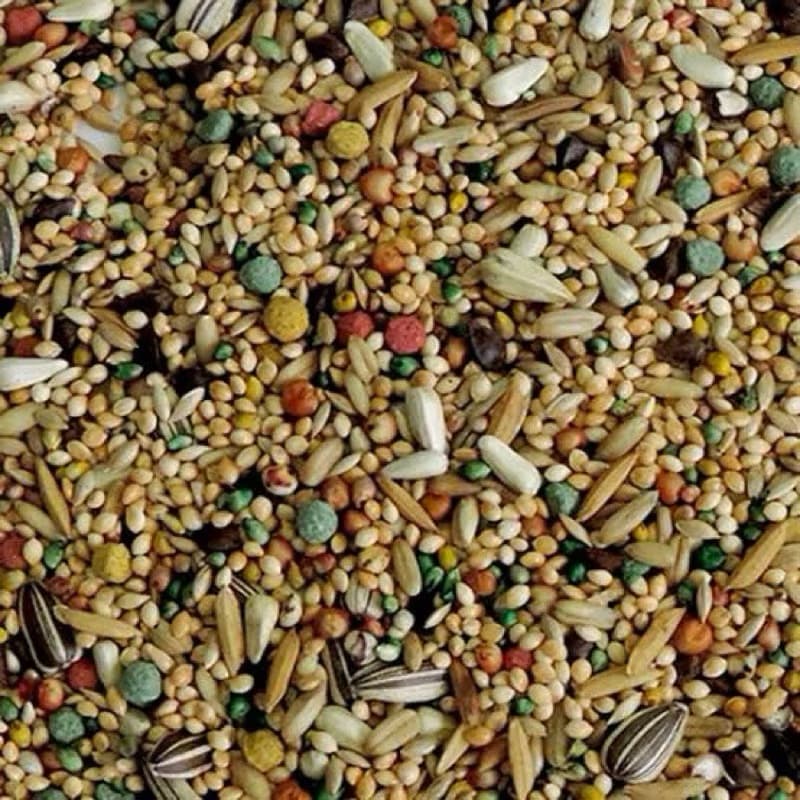 MISTURA PARA CALOPSITA SUPER PREMIUM 5KG