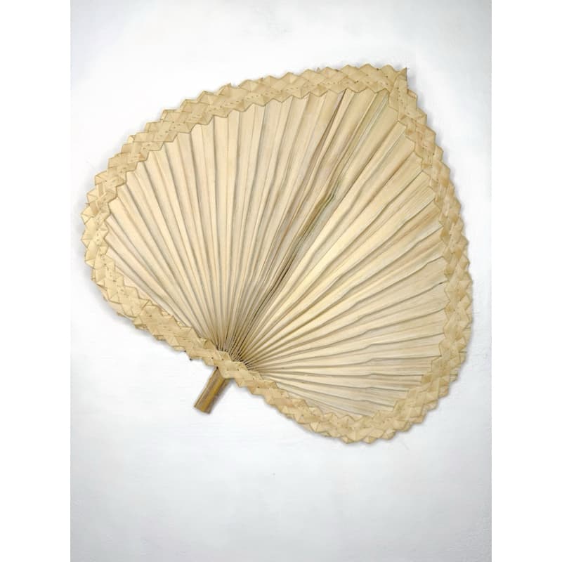 Leque para decoração palmeira