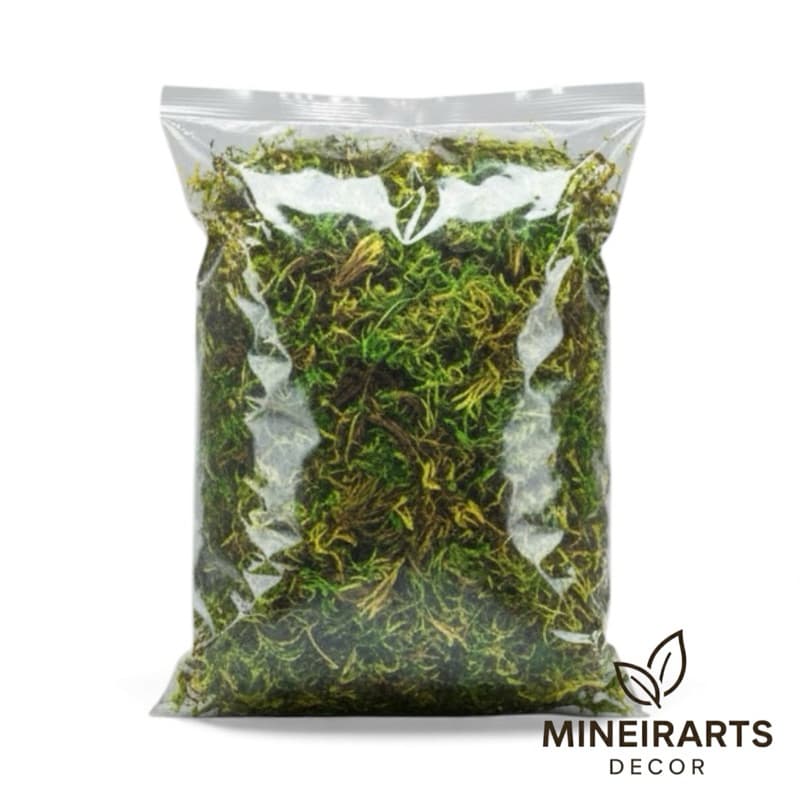 🌿 Musgo Natural Seco – Ideal para Decoração, Terrários, Vasos e Artesanato [Alta Qualidade]