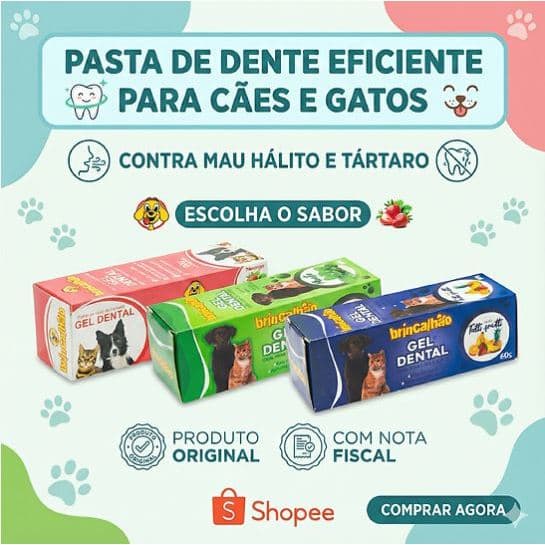 Pasta Gel Dental para Cachorro Cão Gato Pets  Brincalhão 60g