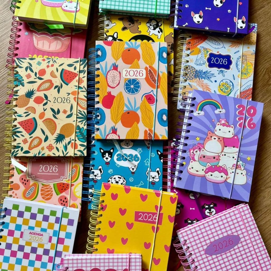 Agenda 2026 Diária Capa Dura Espiral Planner Caderneta Calendário