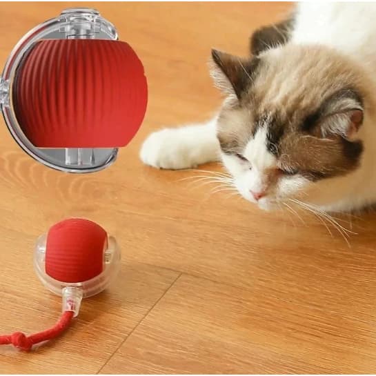 Bola Brinquedos De Rolamento Automático Cauda Do Falso Recarregável Bola Inteligente Gato Interativo