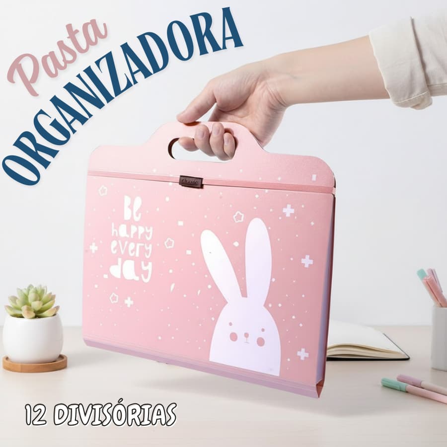 Pasta Organizador Sanfonada 12 Divisórias A4 Envelope Estampado Feminino Masculino Infantil