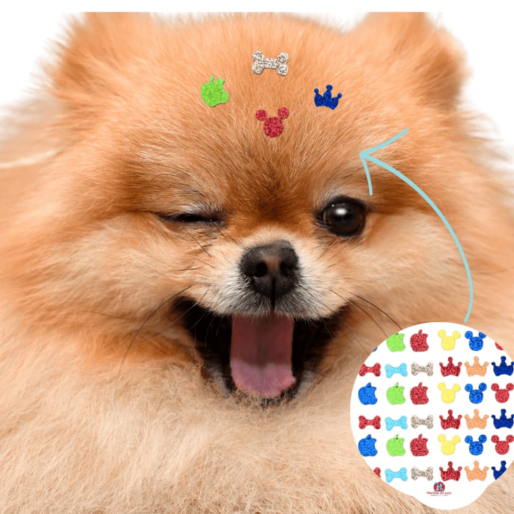 Kit de 300| 200| 100 Mini Adesivos Macho - Pet - Cola importada