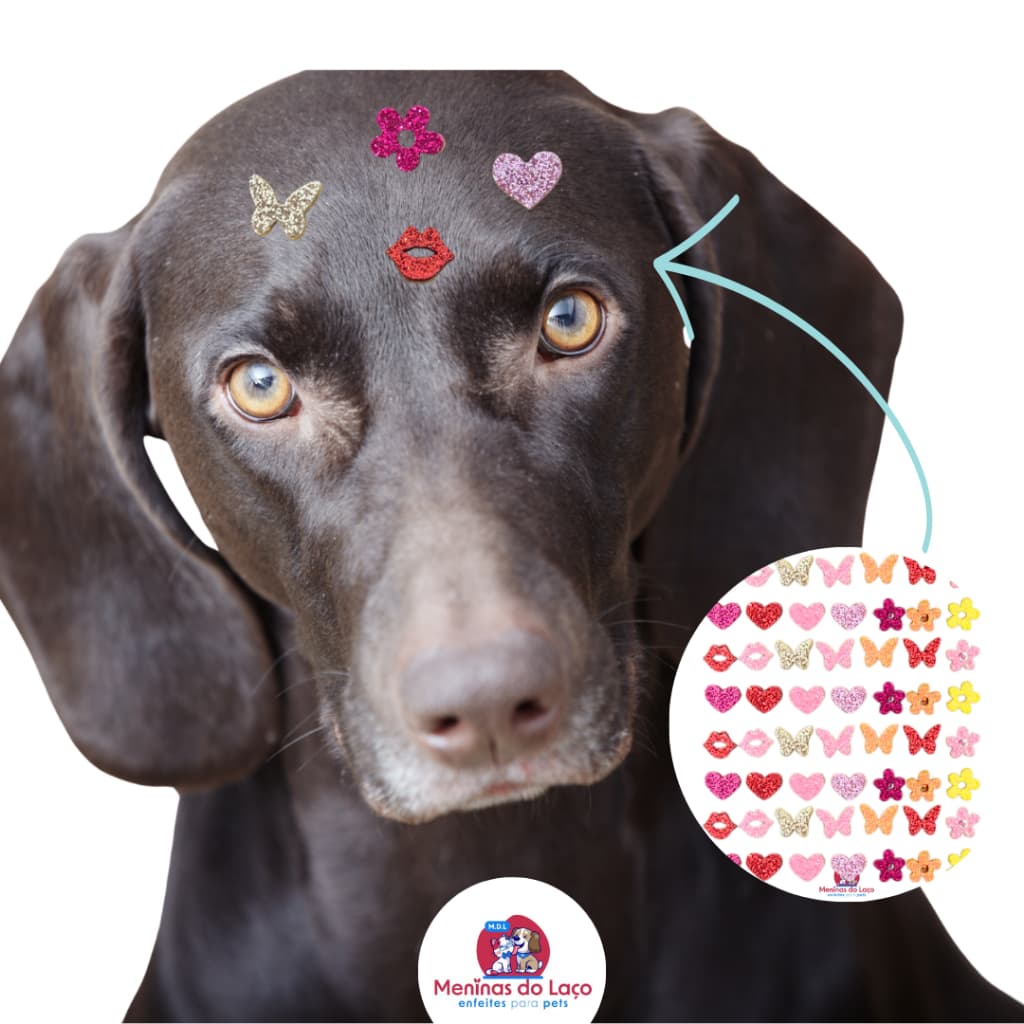 300| 200| 100 Mini Adesivos Fêmea Pet - Cola Premium - Sortidos