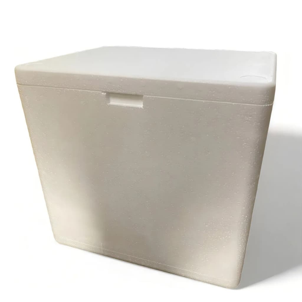 Caixa Térmica de Isopor 12 Litros Conserva Gelo, Bebidas e Alimentos