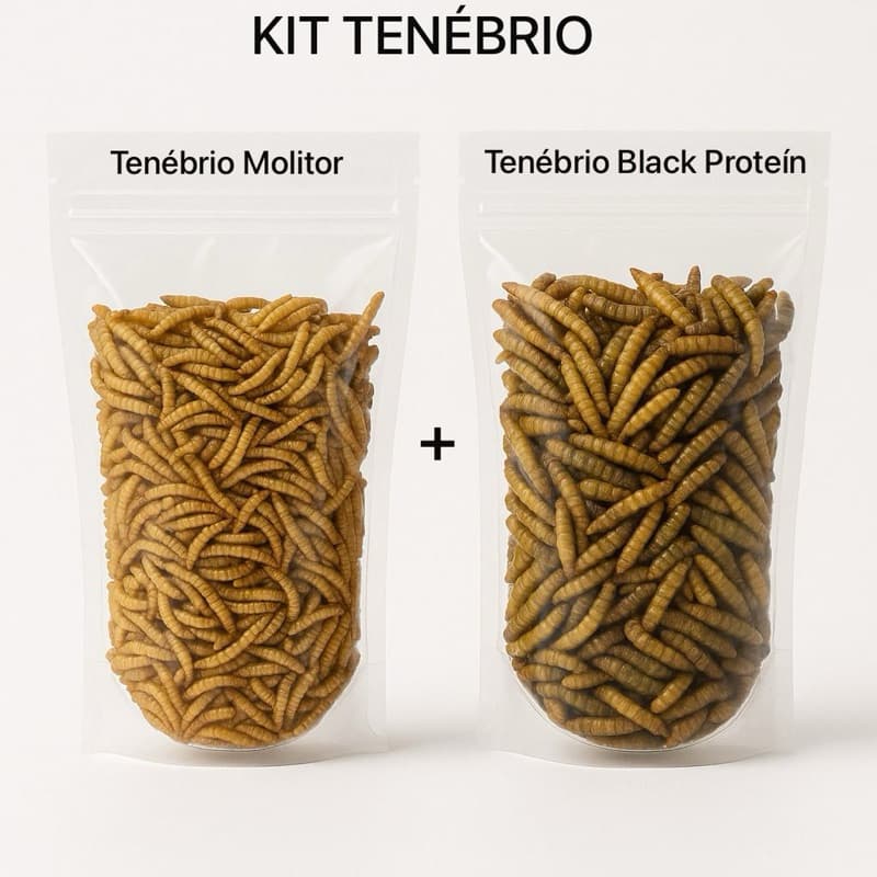 KIT Tenebrio Proteína Pura Alimento Nutritivo P/ aves Roedores Réptil Tartarugas Peixes