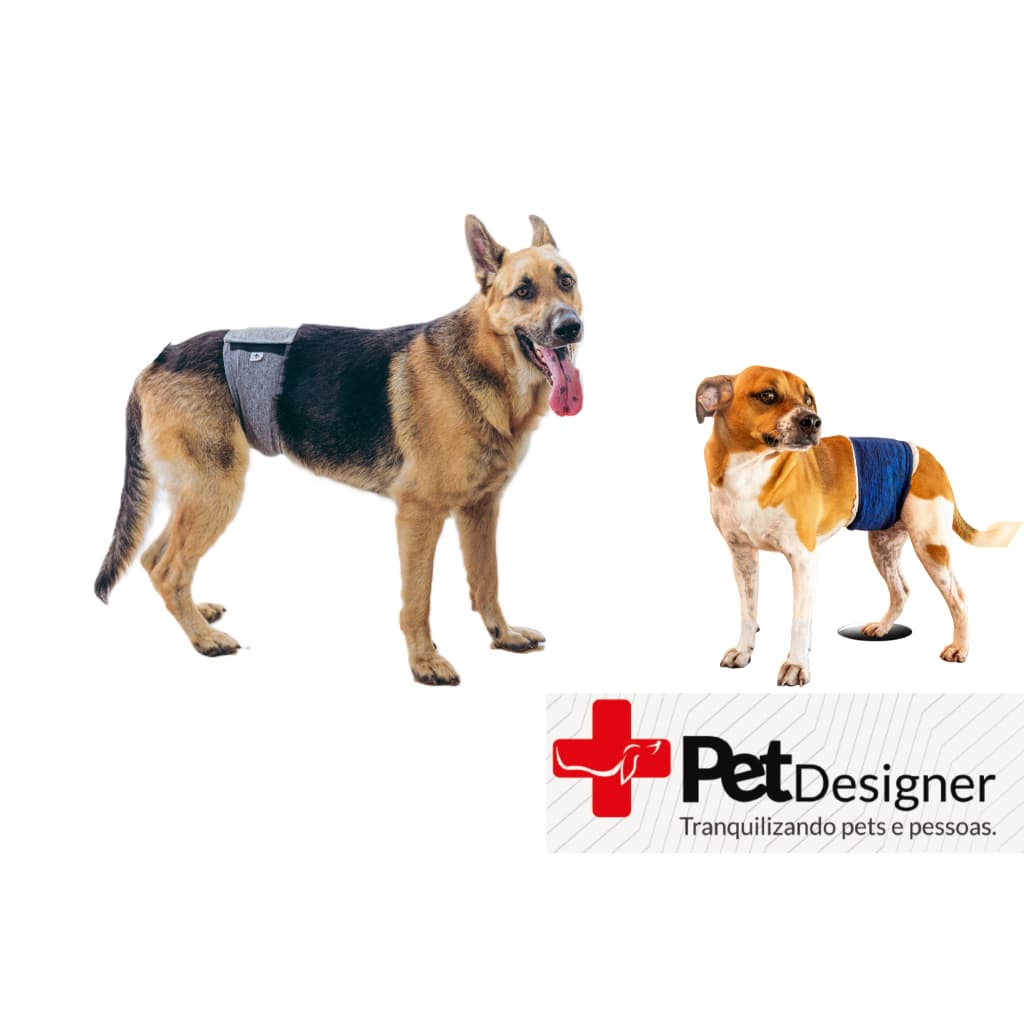 Protetor fralda cães machos | Faixa Higiênica - VELCRO AJUSTÁVEL | Ideal para Incontinência e treino