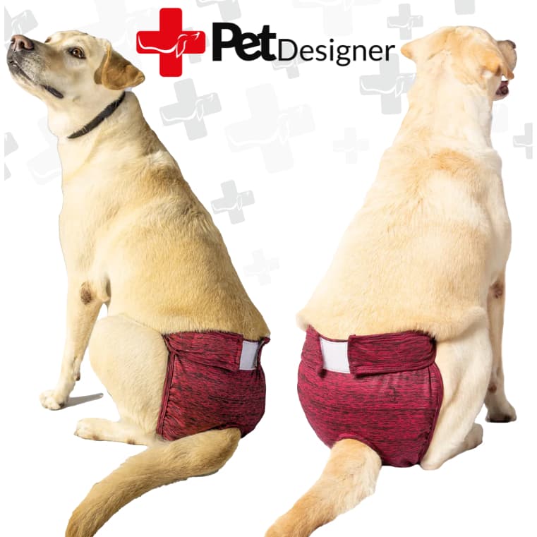 Fralda Calcinha Reutilizável para Cães - Conforto e Proteção| Ideal para Incontinência, Cio e Treino