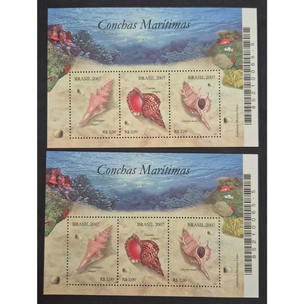 Bloco selos dos correios - Brasil 2007 - Conchas Marítimas - Código RHM B145.