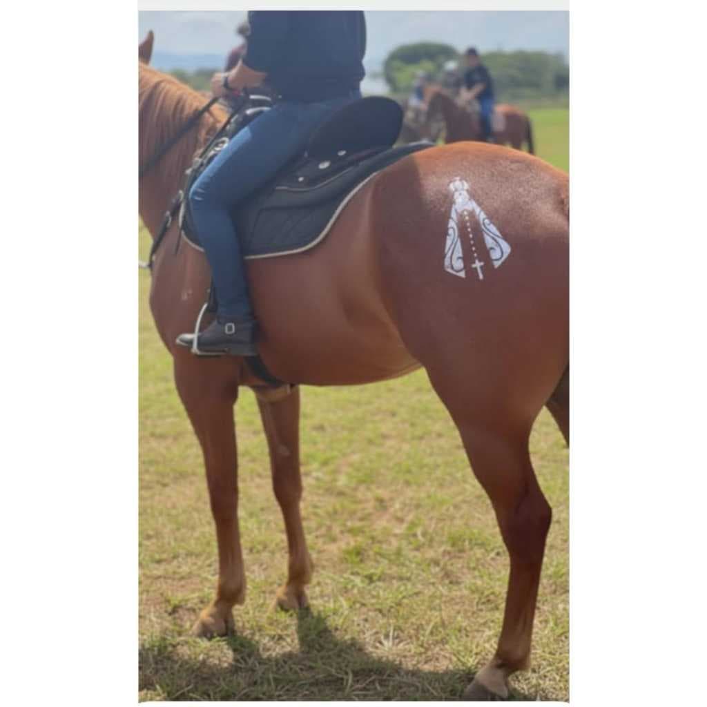 Moldes para tatuagem temporária em cavalos - (não acompanha (cola) e brilho (glitter)