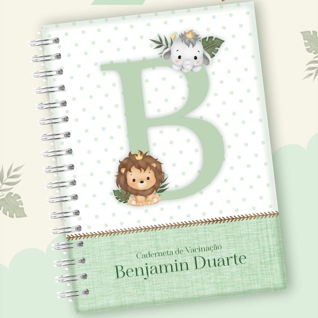 Caderneta de Saúde/ Vacina Menino Personalizada Simples e Atualizada