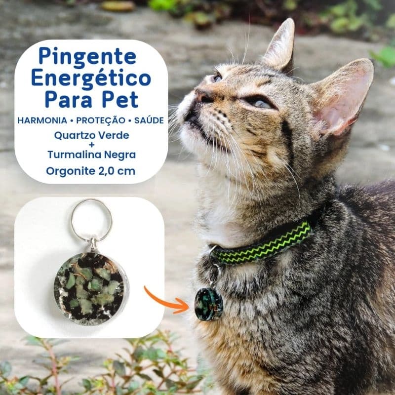 Pingente Orgonite Pet Para Coleira - Saúde Proteção Harmonia - Artesanal  com Turmalina Negra + Quartzo Verde