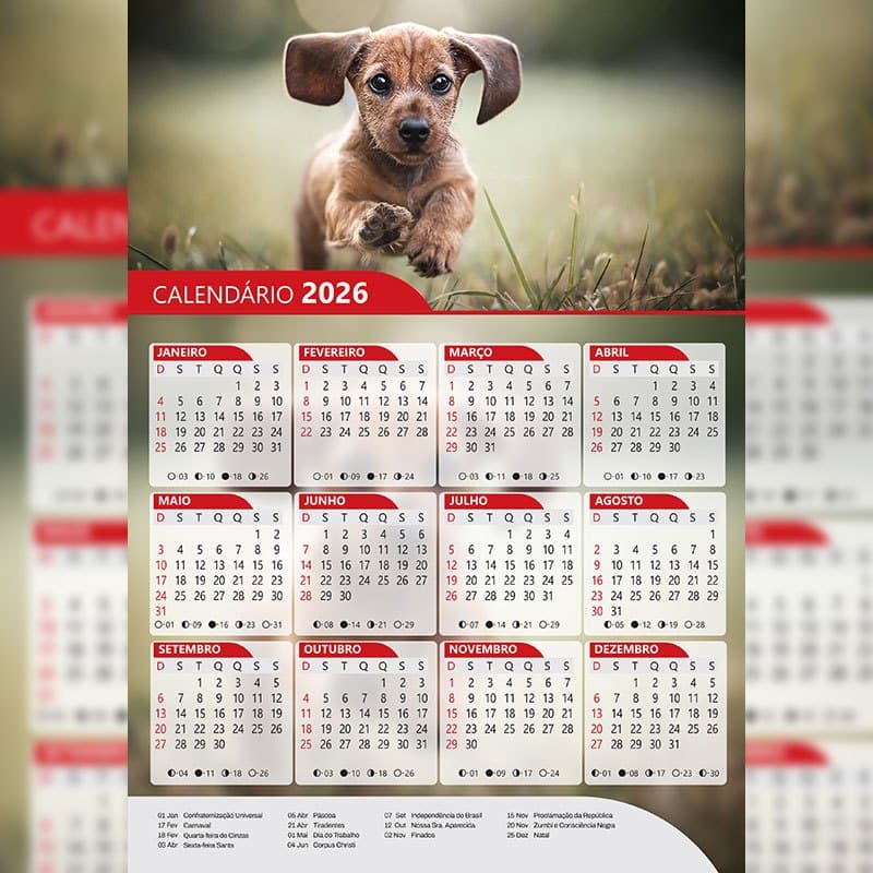 Calendário 2026 -  Filhotes