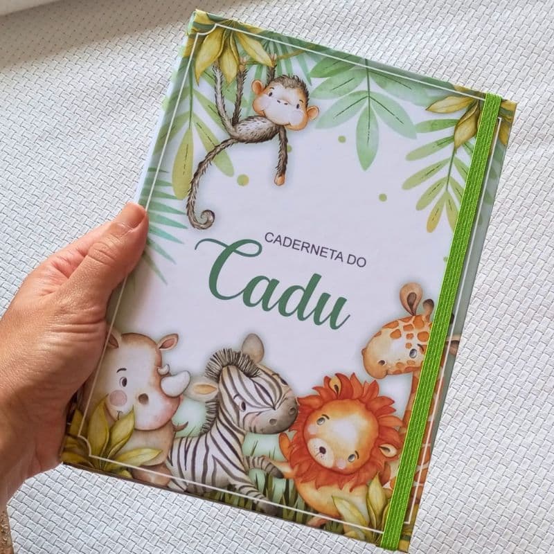 Porta Caderneta de Saúde (Vacinas) Personalizada com Nome  -  Capa Dura varios temas  - Capa para caderneta de Vacinação