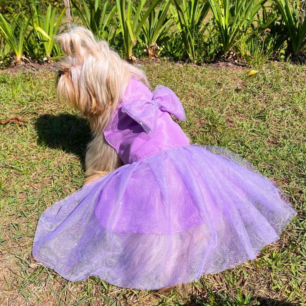 Vestido Para Cachorro Femea Encantado Gaby Pet Roupa com Tule e Glitter Brilhante Pequenos e Médios Roupa de Festa