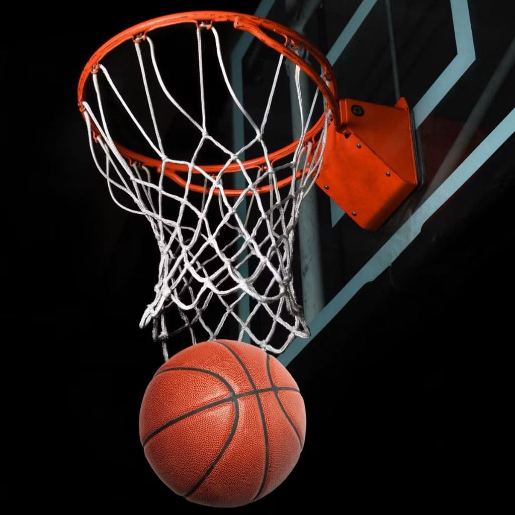 Cesta De Basquete Infantil Aro de Ferro Com Bomba e Bola, Kit Completo com rede, Bola, Infrator, Bucha para Ficção