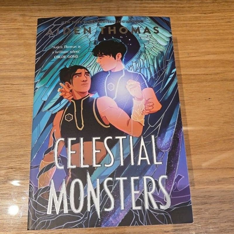 LEIA DESCRIÇÃO! DESAPEGO! Livro, romance, Boys love, BL, LGBTQIAPN