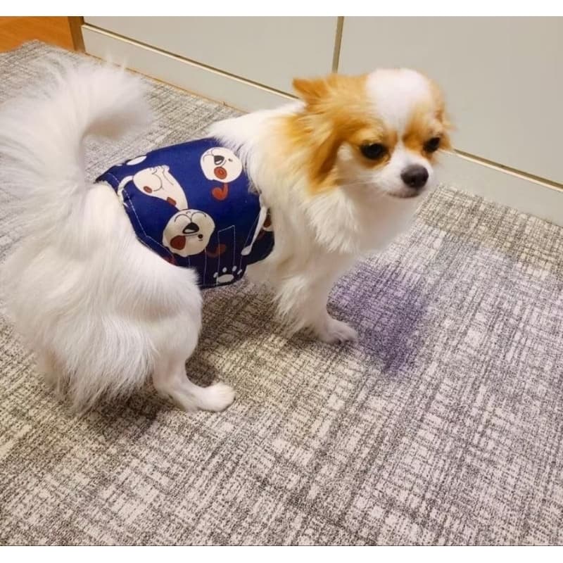 Fralda de barriga para cachorro macho