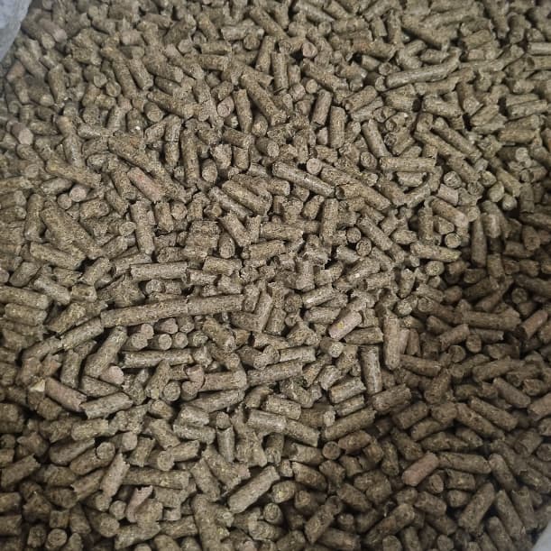 Ração Peletizada para Chinchila Roedores Supra 10kg