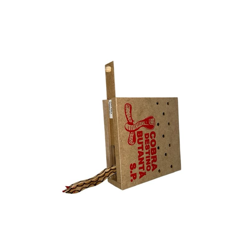 Caixa de cobra Butantã pegadinha Assuste amigos