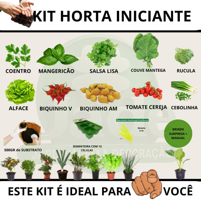 Kit Completo para Iniciantes: 10 Sementes + Sementeira + Substrato + Etiquetas + Manual + bônus !