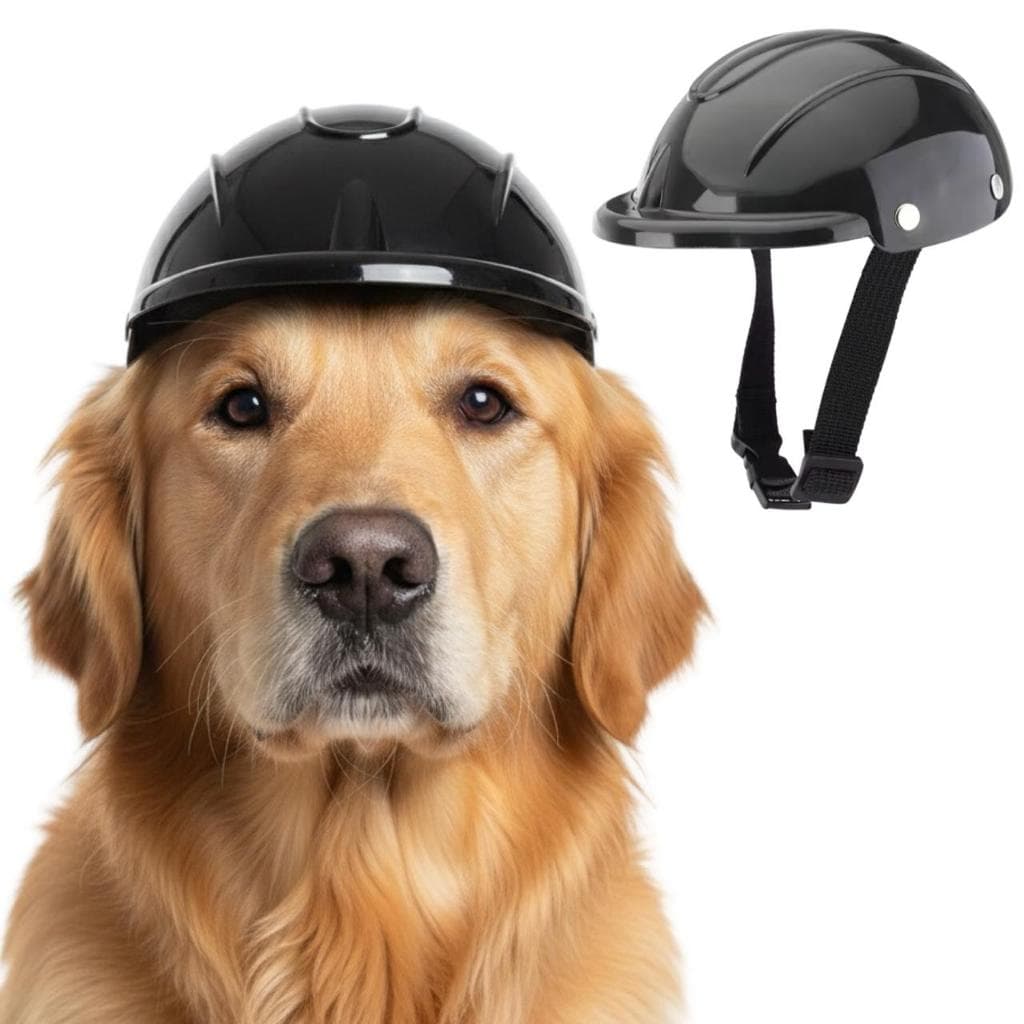 Capacete Motocicleta Pet De Segurança Cachorro Gato Proteção