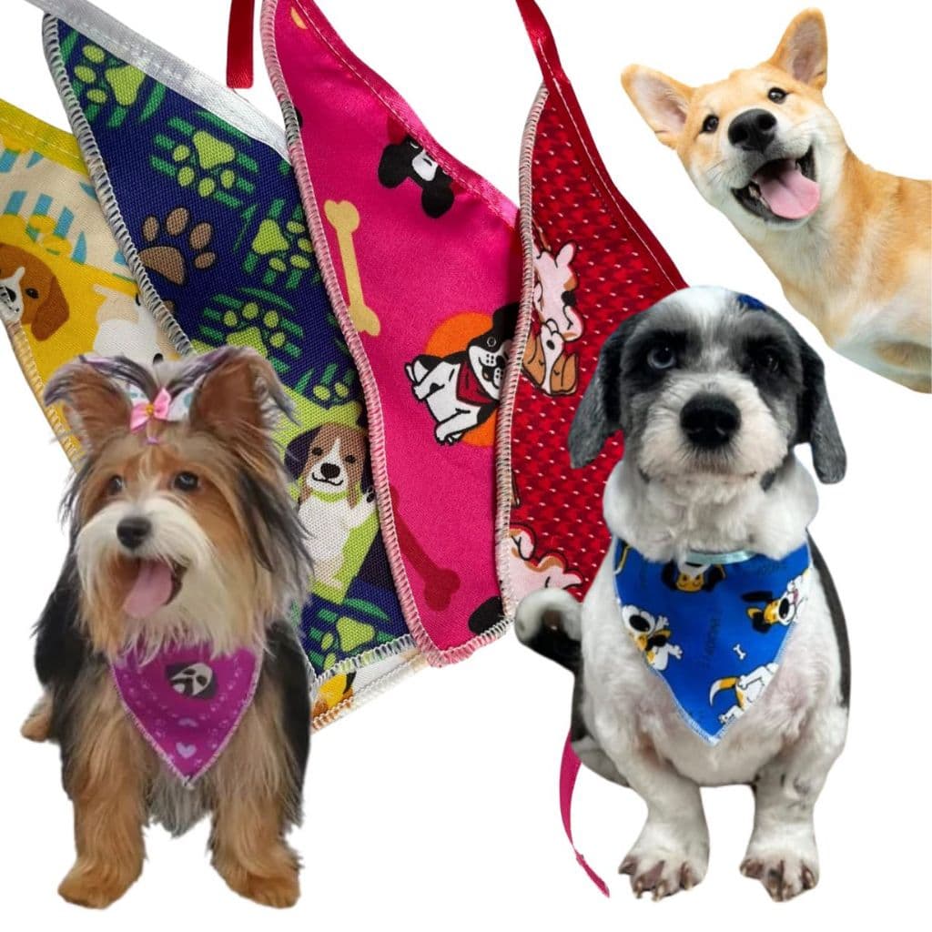 50 Bandanas Pet Cachorro Gato Atacado Kit Sortido Estampas Modernas Para Banho Tosa Acessório Ajustável Pronta Entrega