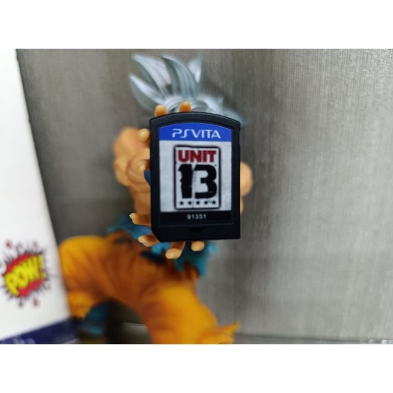 UNIT 13 P/S V.I.T.A.