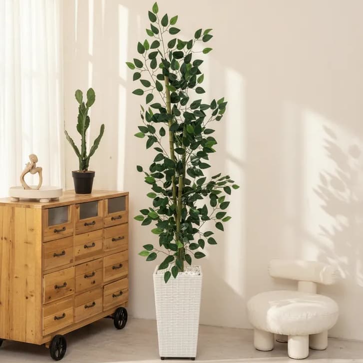 Planta Artificial Bambu da Sorte Vaso Quadrado Atacado