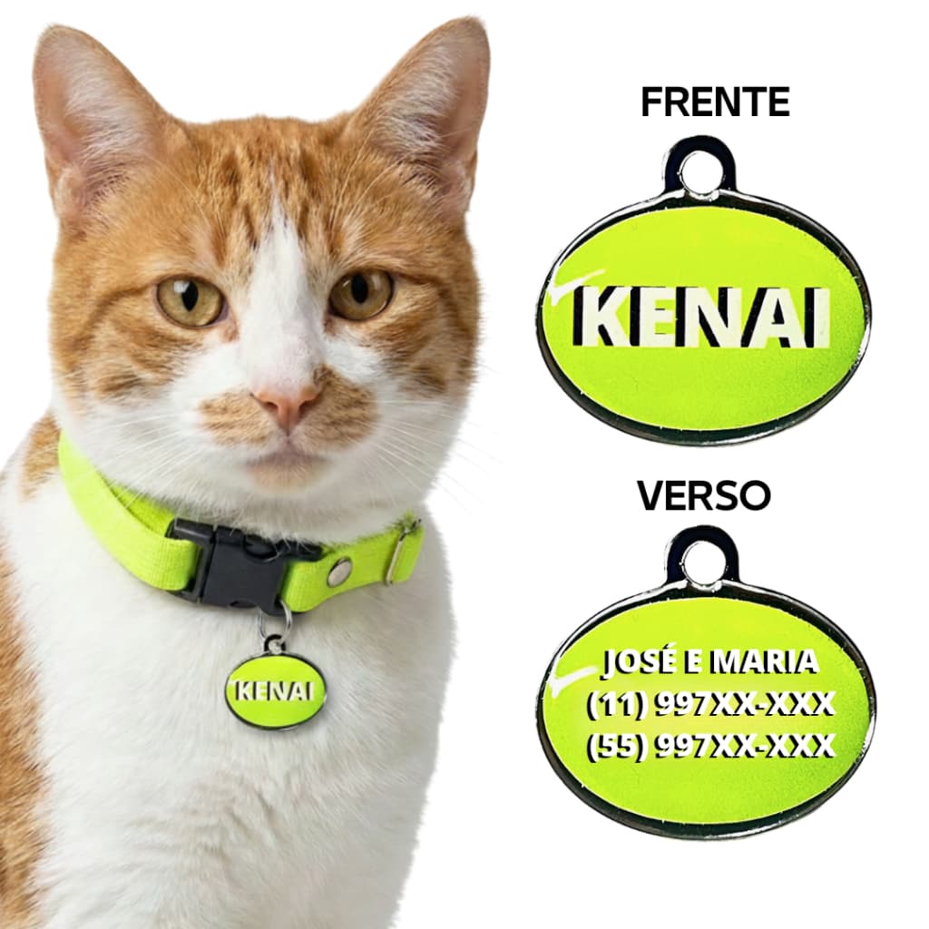 Coleira Elástica para Gato + PLACA COM NOME E TELEFONE