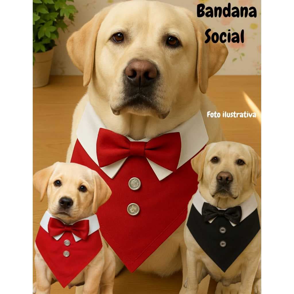 Bandana Social Para Pet com Gravata Borboleta Cachorro Festa Estiloso