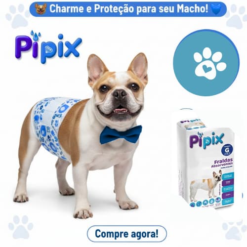 Fralda Descartável para cachorro,Pet Macho ,6 unid, ultra absorção-P,M,G- Envio Imediato
