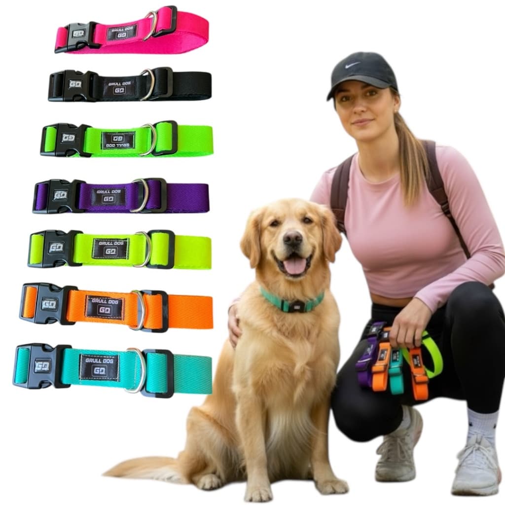 Kit 2 coleiras para cachorro regulável resistente ajustável do porte pequeno ao grande