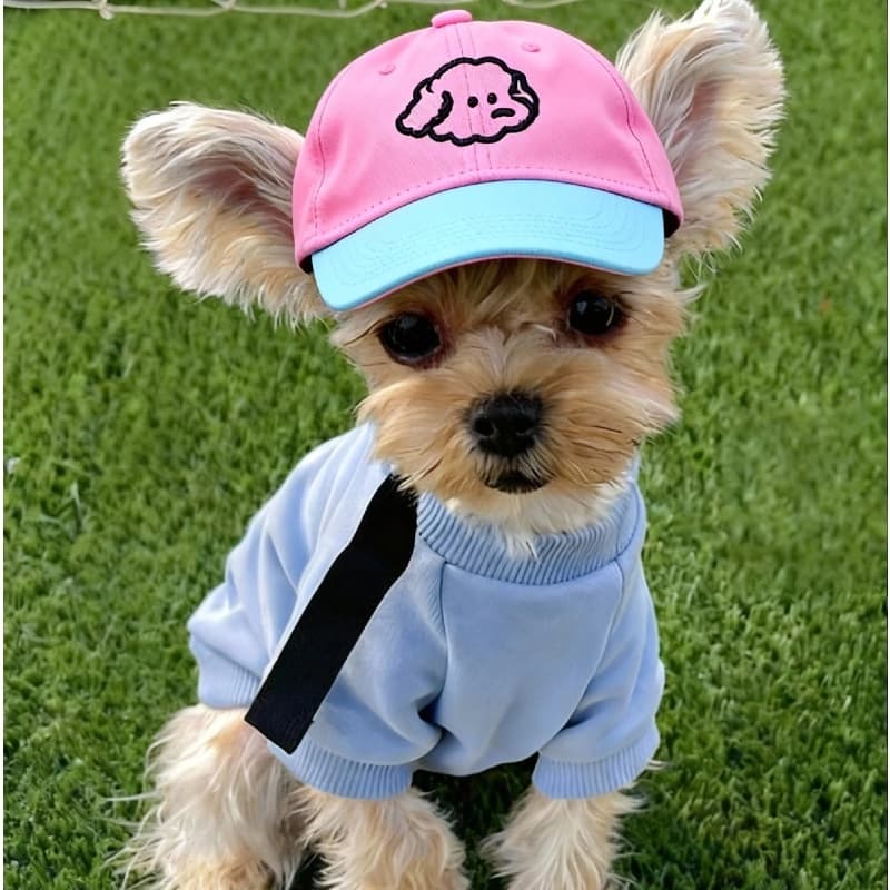 Cão de estimação chapéu de gato boné de beisebol chapéu de viseira ao ar livre bonito chapé