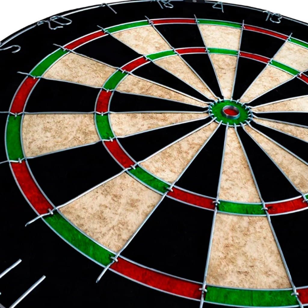 Dardo Alvo Campeonato Sisal Profissional  com dardos