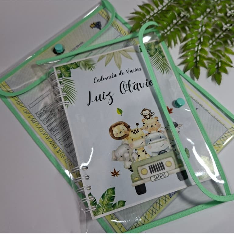 capa plástica para caderneta de vacinação/ certidão de nascimento multiuso