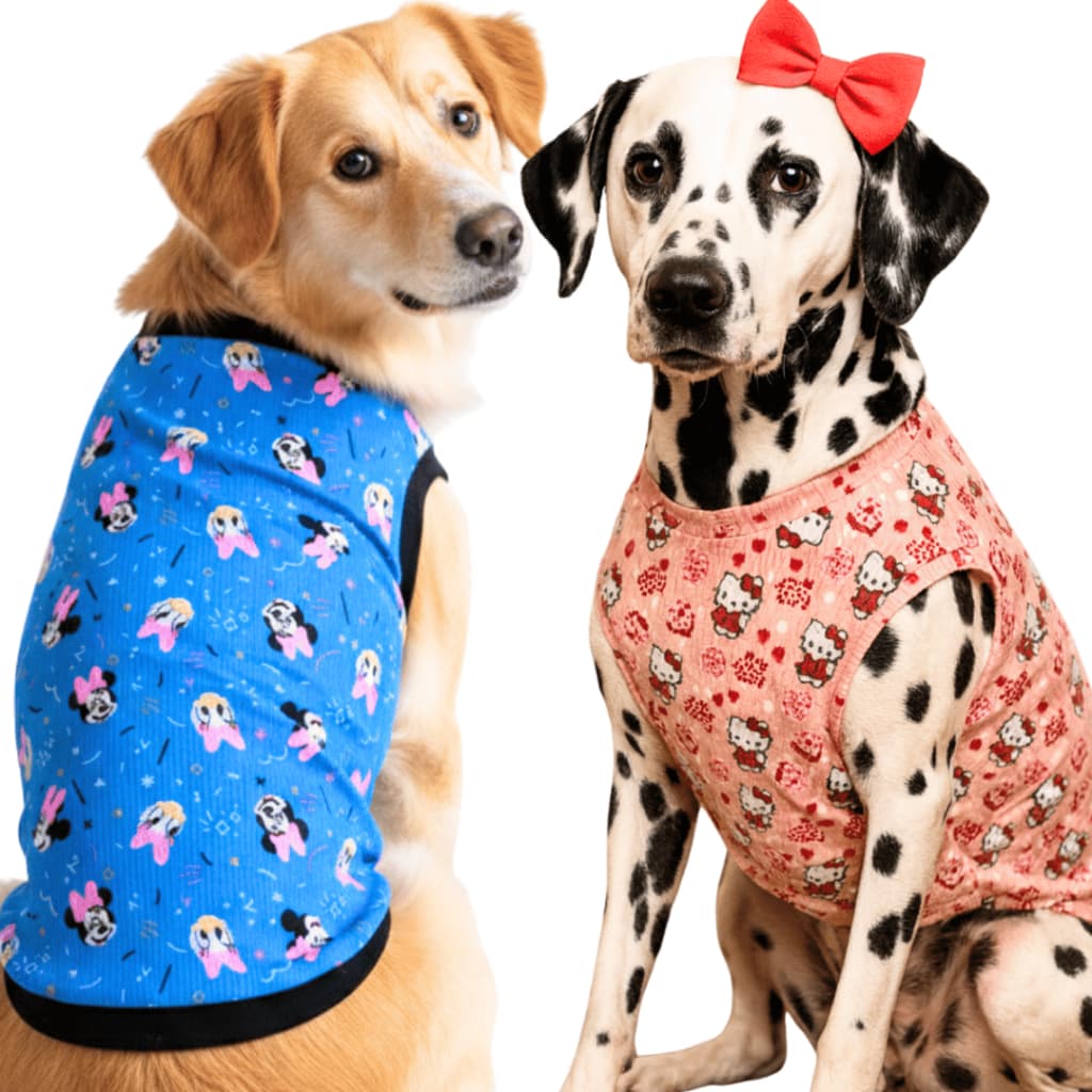 Roupa Roupinha Malha P/ Cachorro Vários Tamanhos Estampas Personagens