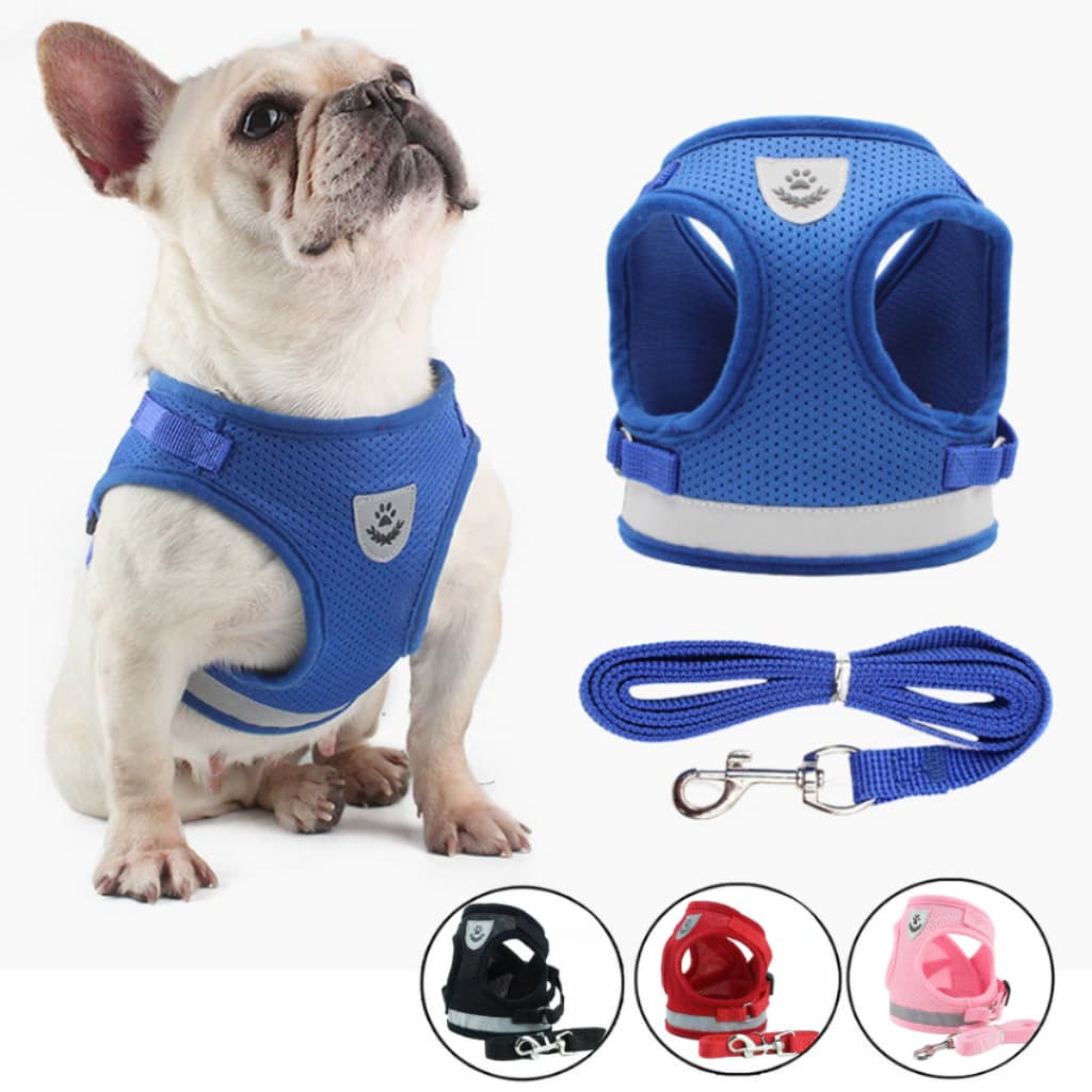 Coleira Peitoral Pet Com Guia Ajustável Cachorro Gato Conforto Segurança Passeio Treinamento