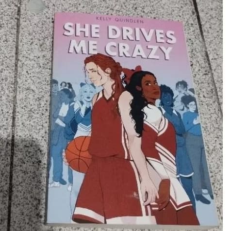 Livro She Drives me Crazy