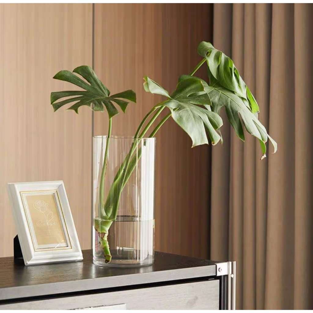 Kit  Vasos Acrílico Arranjos de Flores Plantas Para Decoração Sala Casa 25cm