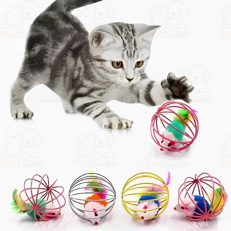 Brinquedo Para Gato Pet Gaiola RatInho Com Pena Bolinha Divertida e Colorido Interativo