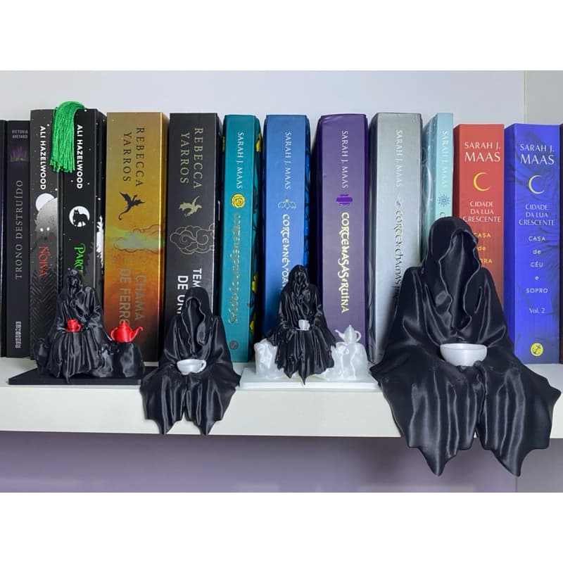 Suriel Acotar | Corte de Espinhos e Rosas | 3D | Feyre | Book | Bookstan | Decoração de estante