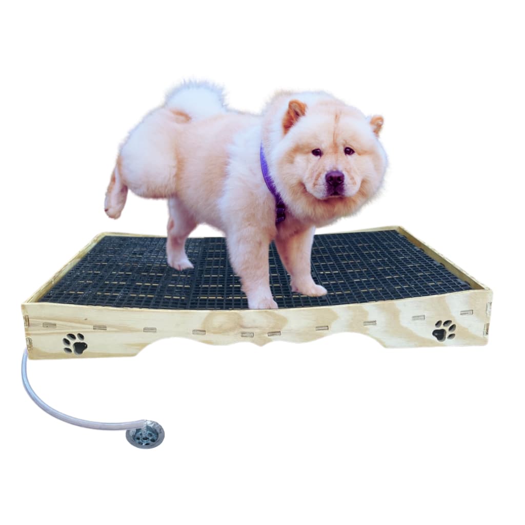 Banheiro inteligente M sanitario com mangueira e Dreno Pequenos Pets 78x53cm