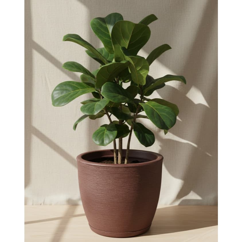 Vaso Polietileno Para Plantas Jardim Sala Luxo Escovado Bojo Pequeno Com Prato