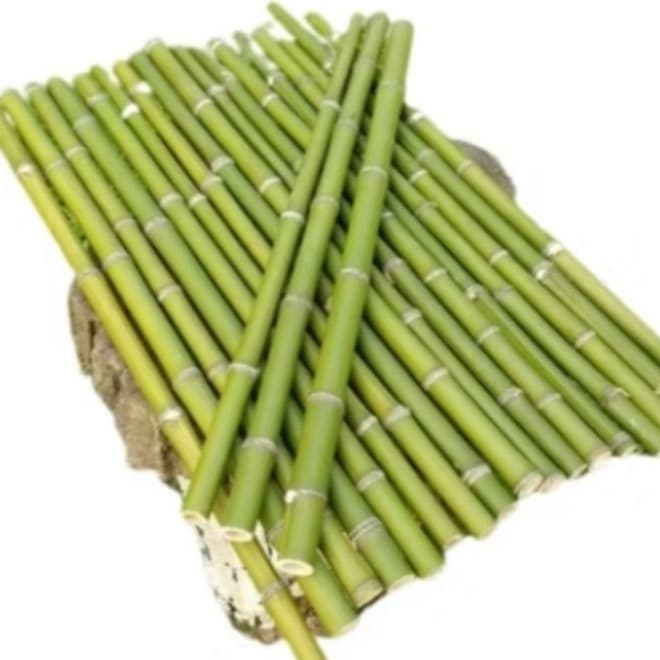 🌿 KIT COM 16 HASTES DE BAMBU PARA ESCORAS DE PLANTAS- ESTACAS