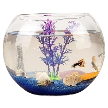 Aquário Redondo/Bola - Vaso de Vidro (Globo/Bola)