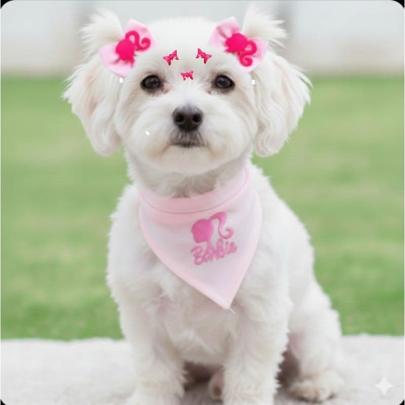 BANDANA PET COM LAÇO e ADESIVO