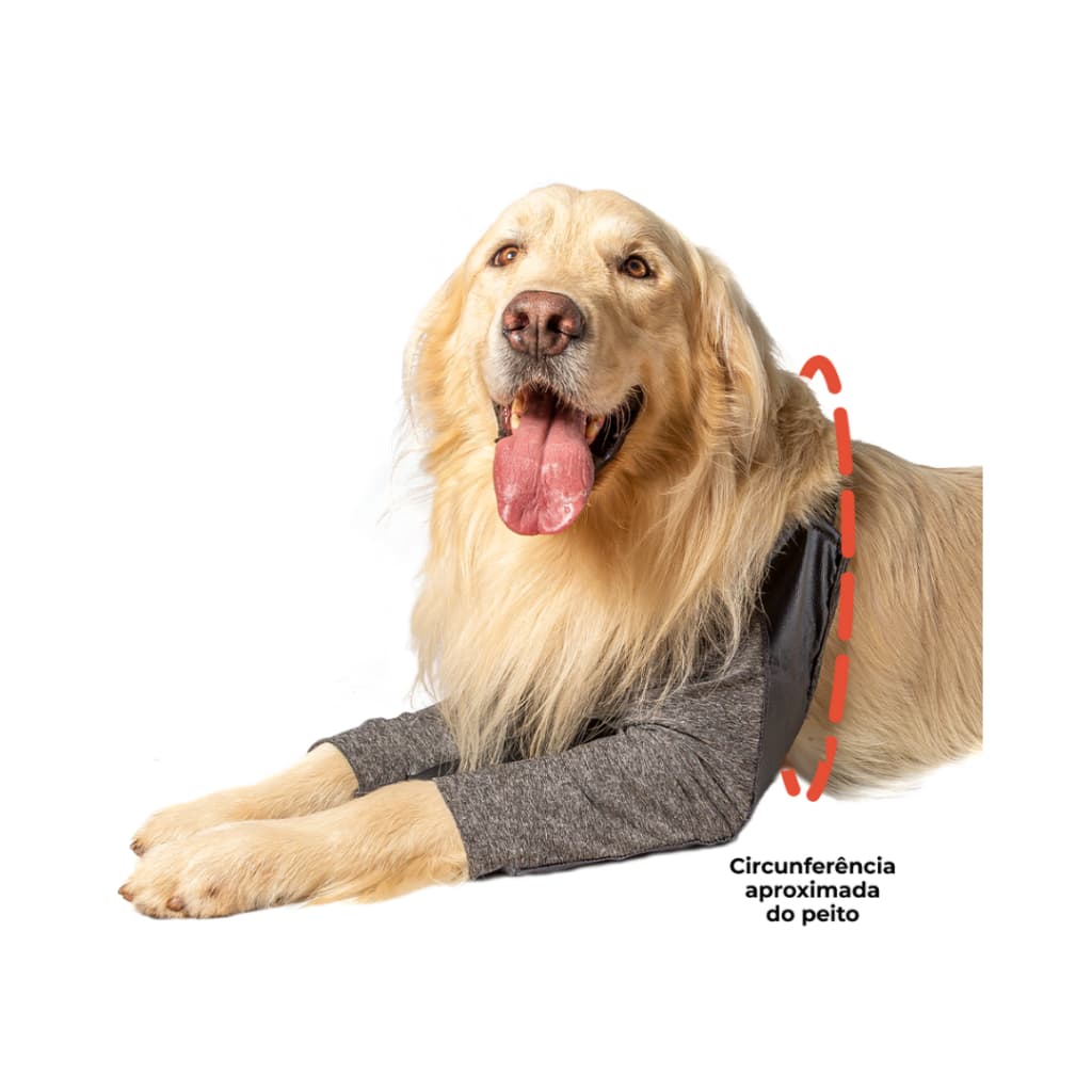 Roupa Protetora Membros Anteriores Cachorro 0 ao 9