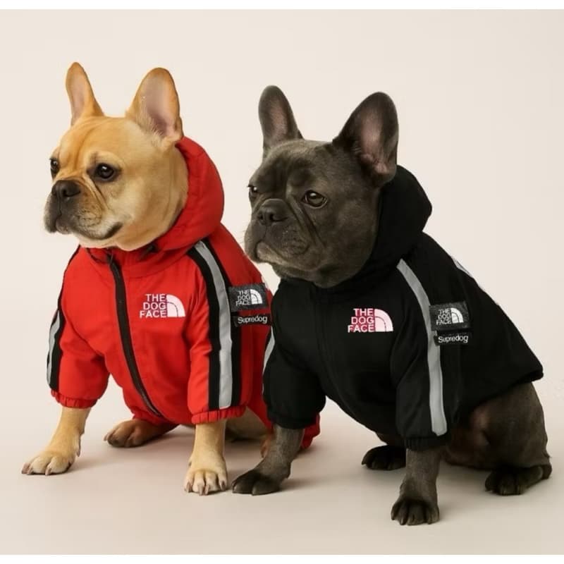 🐾 Capa de Chuva para Pet com Capuz – Impermeável e Estilosa